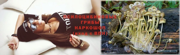 сатива Алзамай