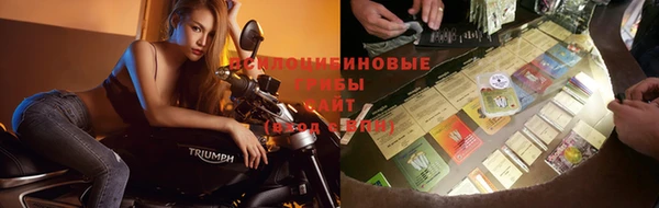 spice Алексеевка