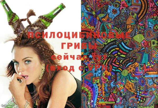 spice Алексеевка