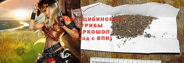 сатива Алзамай