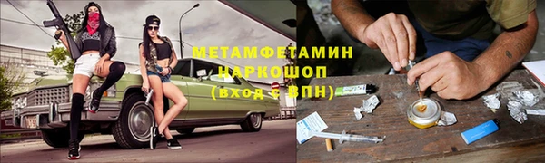 сатива Алзамай