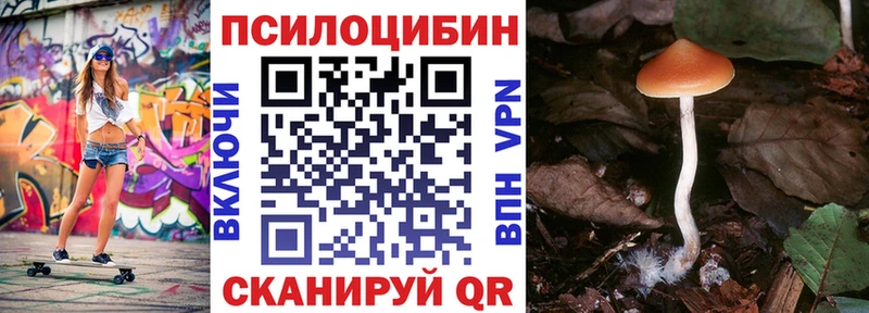 Псилоцибиновые грибы мухоморы  Красноармейск 